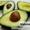 Maluma Avocado 10L