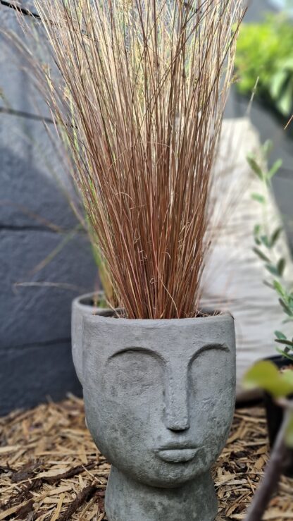Cement Pot Face