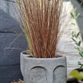 Cement Pot Face