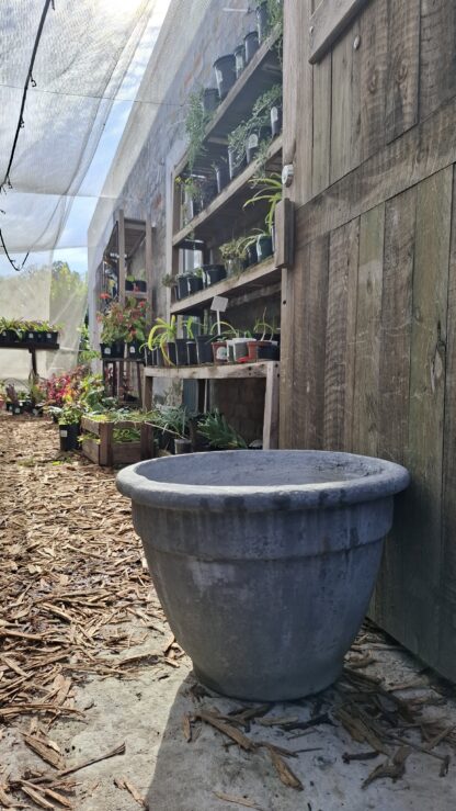 Large Cement Pot Sophia