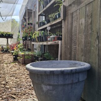 Large Cement Pot Sophia