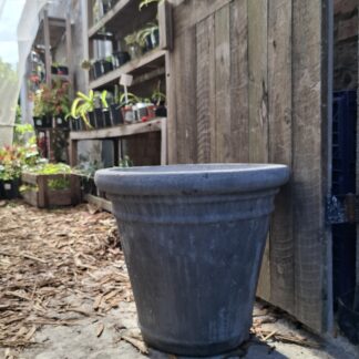 Large Cement Pot Celia