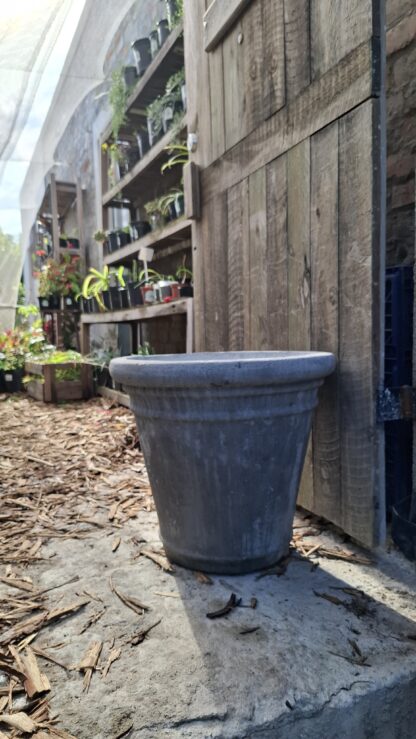 Large Cement Pot Celia