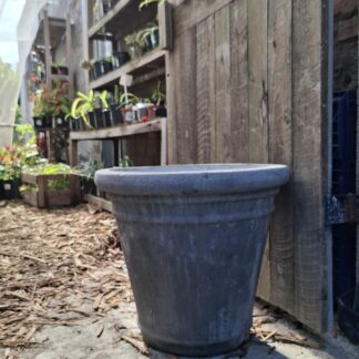 Large Cement Pot Celia