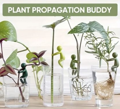 Propagation buddy