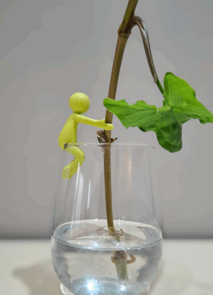 Propagation buddy - Image 5