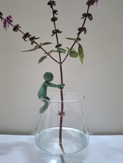 Propagation buddy - Image 2