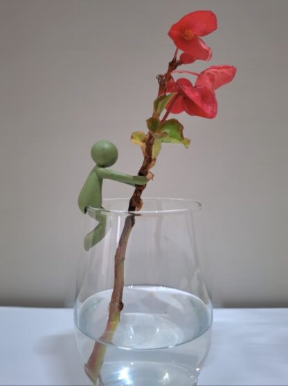 Propagation buddy - Image 3