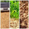 Mulch pine shavings 4m³ delivered in Somerset and Stellenbosch