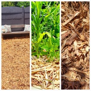 1000230996-scaled.jpg Pine shaving mulch 4m³ delivered in Somerset and Stellenbosch