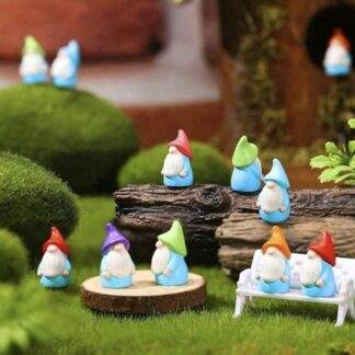 Mini Gnome