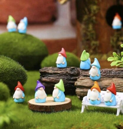 Mini Gnome