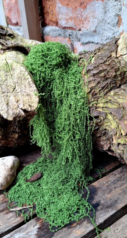 Artificial moss 10g