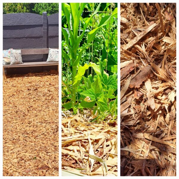 Woodshaving mulch 30dm BAG