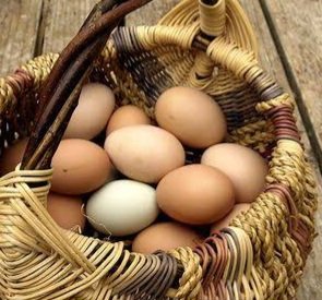 12 Free Range Eggs