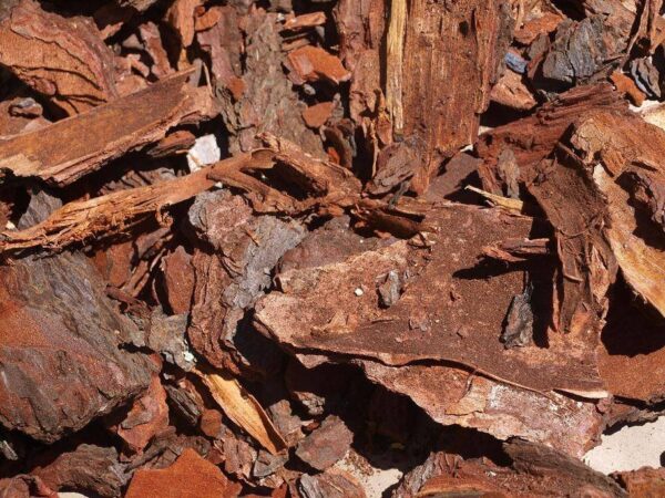 1000341442.jpg 1 Cube Pine Bark Mulch Delivered in Strand/Somerset-West (R2500 for 2 cubes)