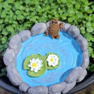 Mini Pond