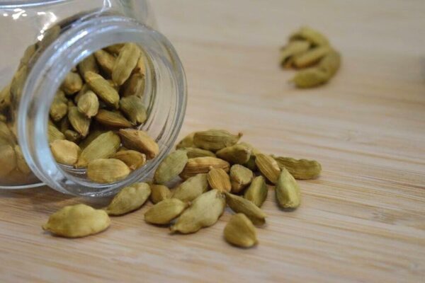 Cardamom Plant - 4L
