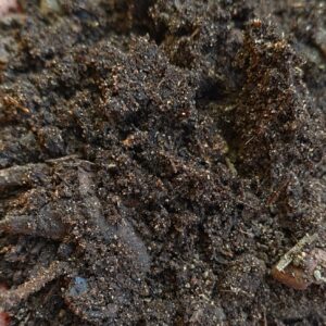 1000433394-1-scaled.jpg Compost 1m³ incl delivery in Swest/Strand areas (2cubesR2200)