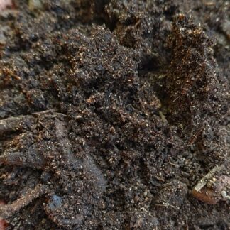 Compost 1m³ incl delivery in Swest/Strand areas (2cubesR1800)