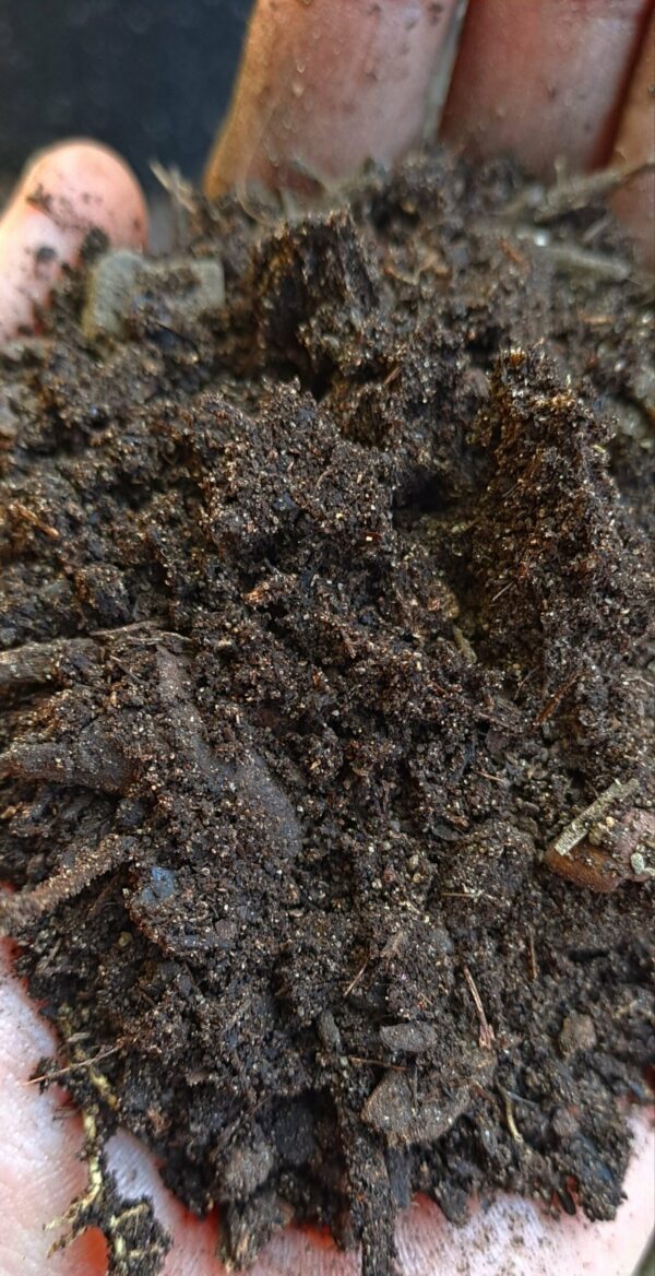 1000433394-1-scaled.jpg Compost 1m³ incl delivery in Swest/Strand areas (2cubesR2200)
