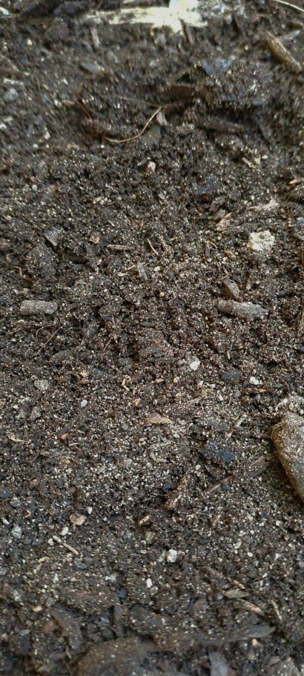 1000433395-1-scaled.jpg Potting Soil Premium Grade. 2cubes loose incl delivery in Helderberg Areas