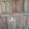 1000435360-scaled.jpg Harry Pickstone Plum