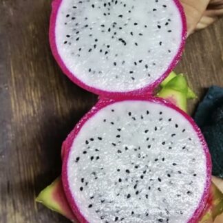 Dragon Fruit Rooted Cuttings. White Flesh