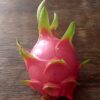 Dragon Fruit Rooted Cuttings. White Flesh