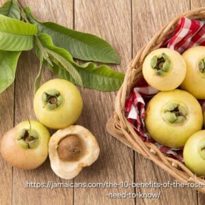 1000450149.jpg Rose Apple 4,5L