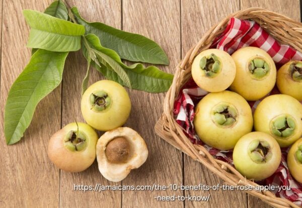 Rose Apple 4,5L