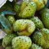 1000458921.jpg Soursop 4,5l