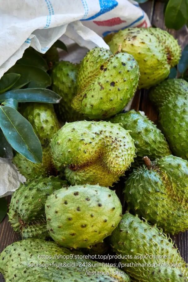 1000458921.jpg Soursop 4,5l