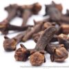 1000463741.jpg Clove Tree 30-60cm