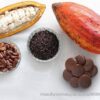 1000463743.jpg Cocoa Tree 30-60cm