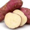 Edible Sweet Potato Plant 12cm