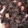 Red Door Rough Compost Bag 30dm