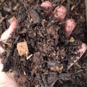 1000498188-scaled.jpg Red Door Rough Compost Bag 30dm