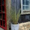 The 'Stillness' Collection Face Planters