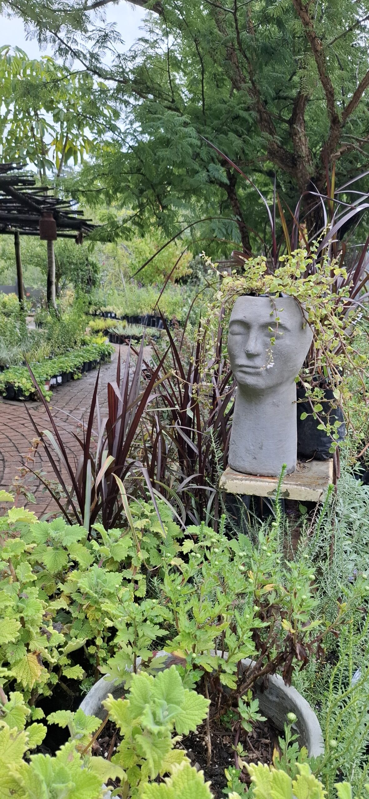 The Grace Plant Pot - Image 3