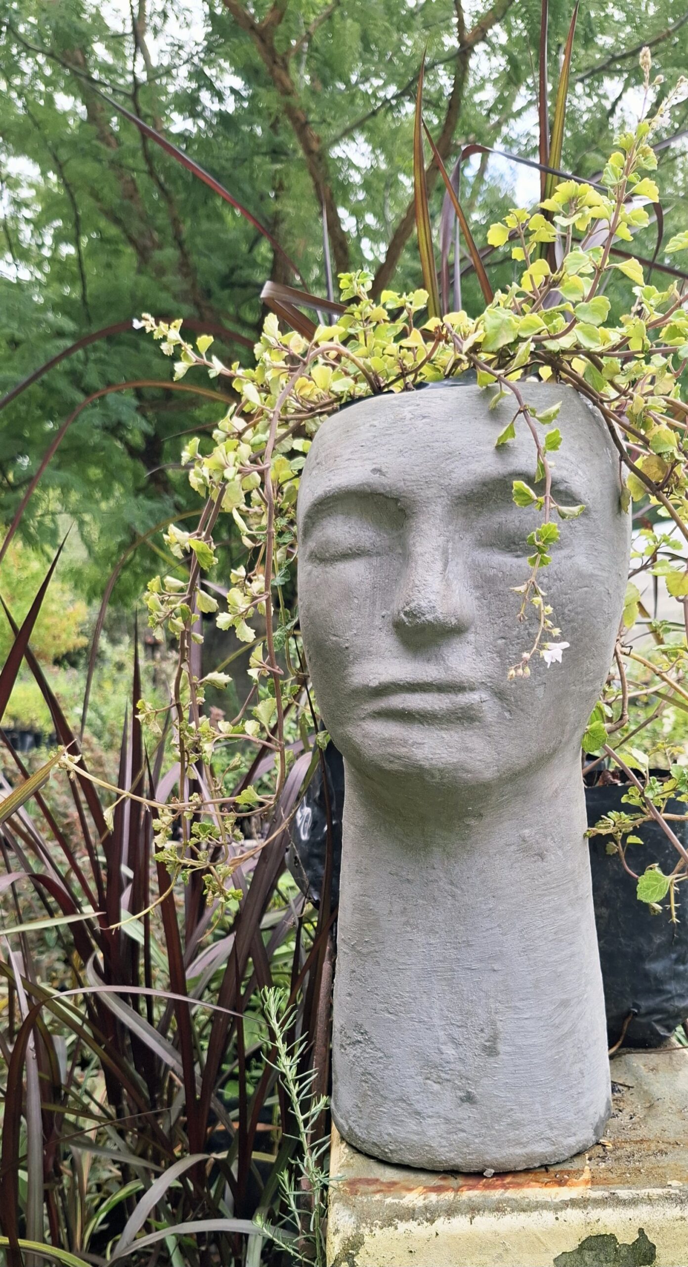 The 'Stillness' Collection Face Planters - Image 2