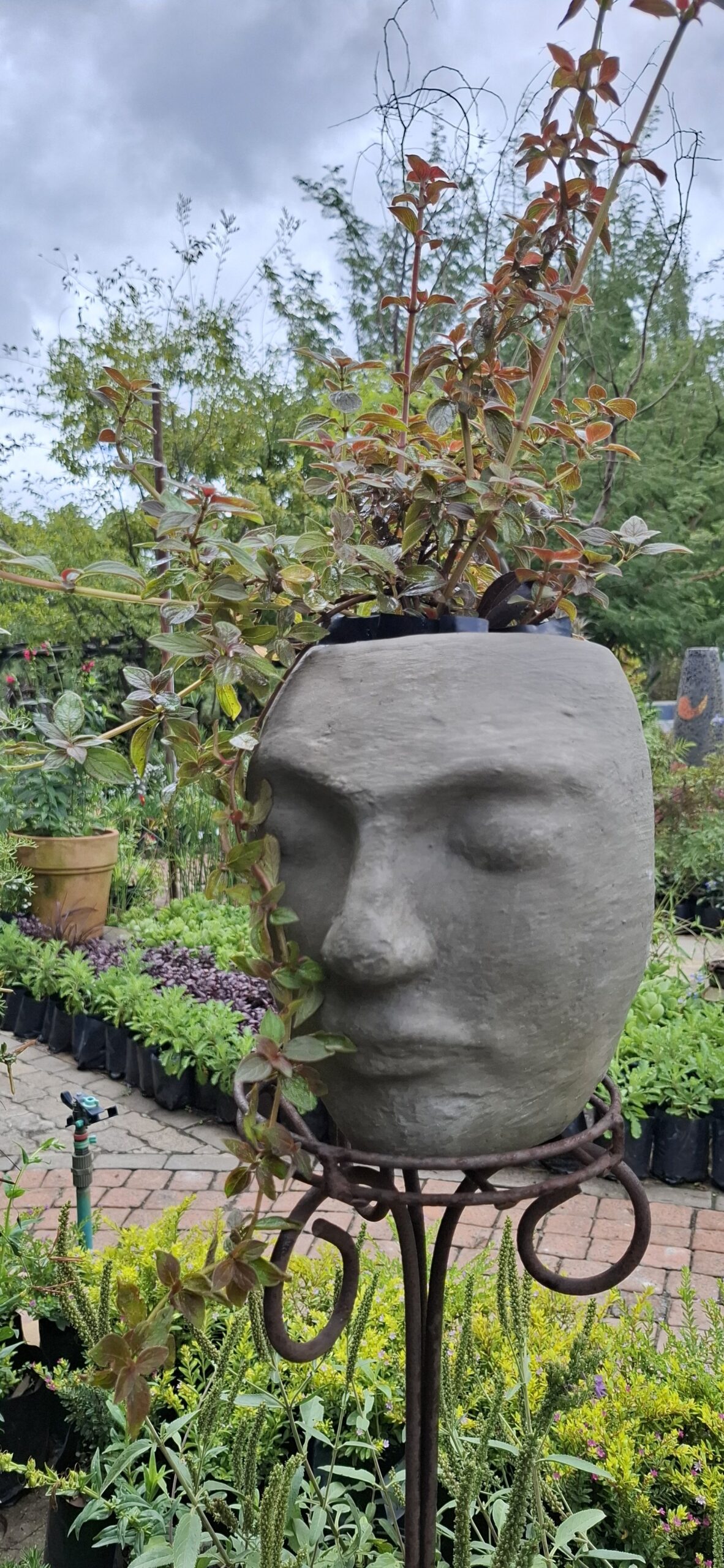 The 'Stillness' Collection Face Planters - Image 6