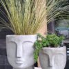 The 'Stillness' Collection Face Planters