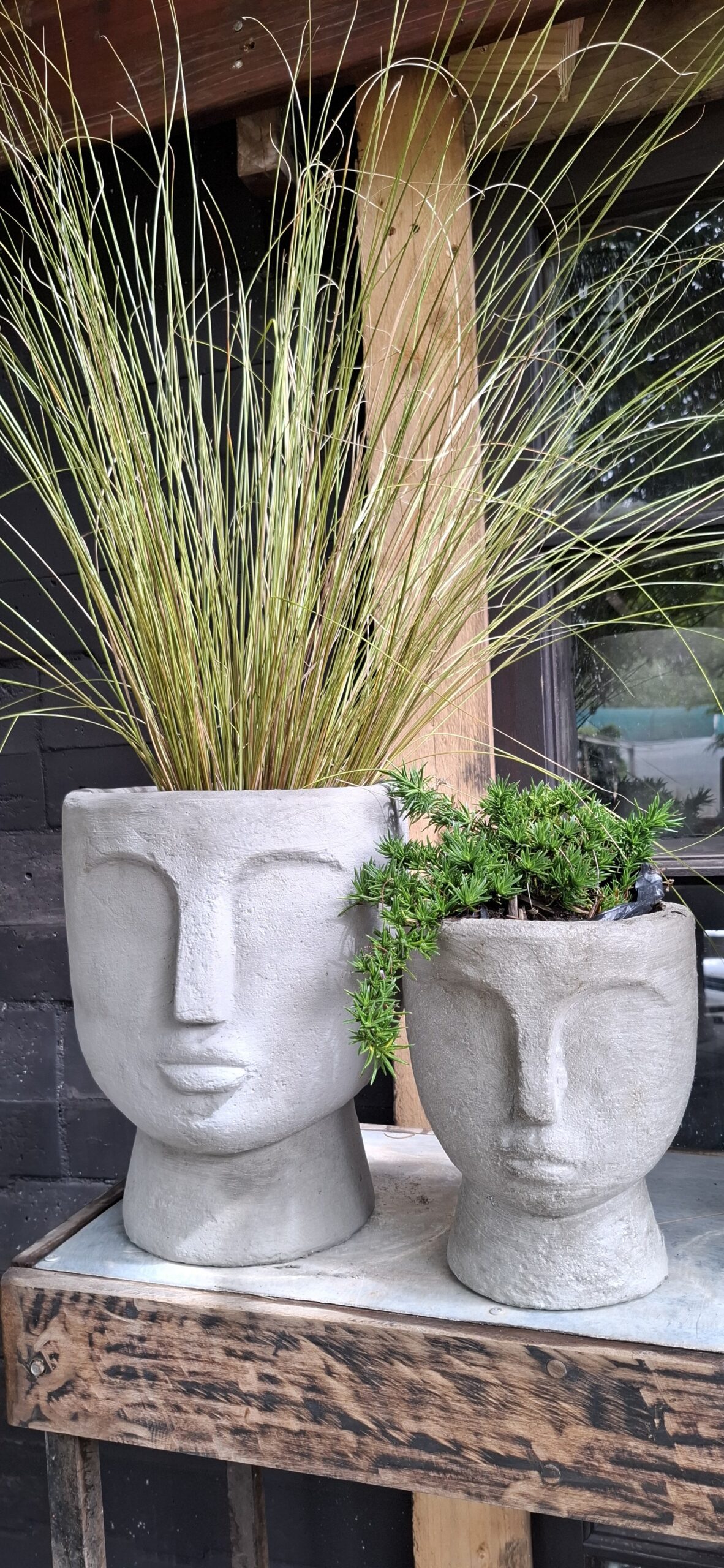 The 'Stillness' Collection Face Planters - Image 4