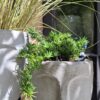 The 'Stillness' Collection Face Planters
