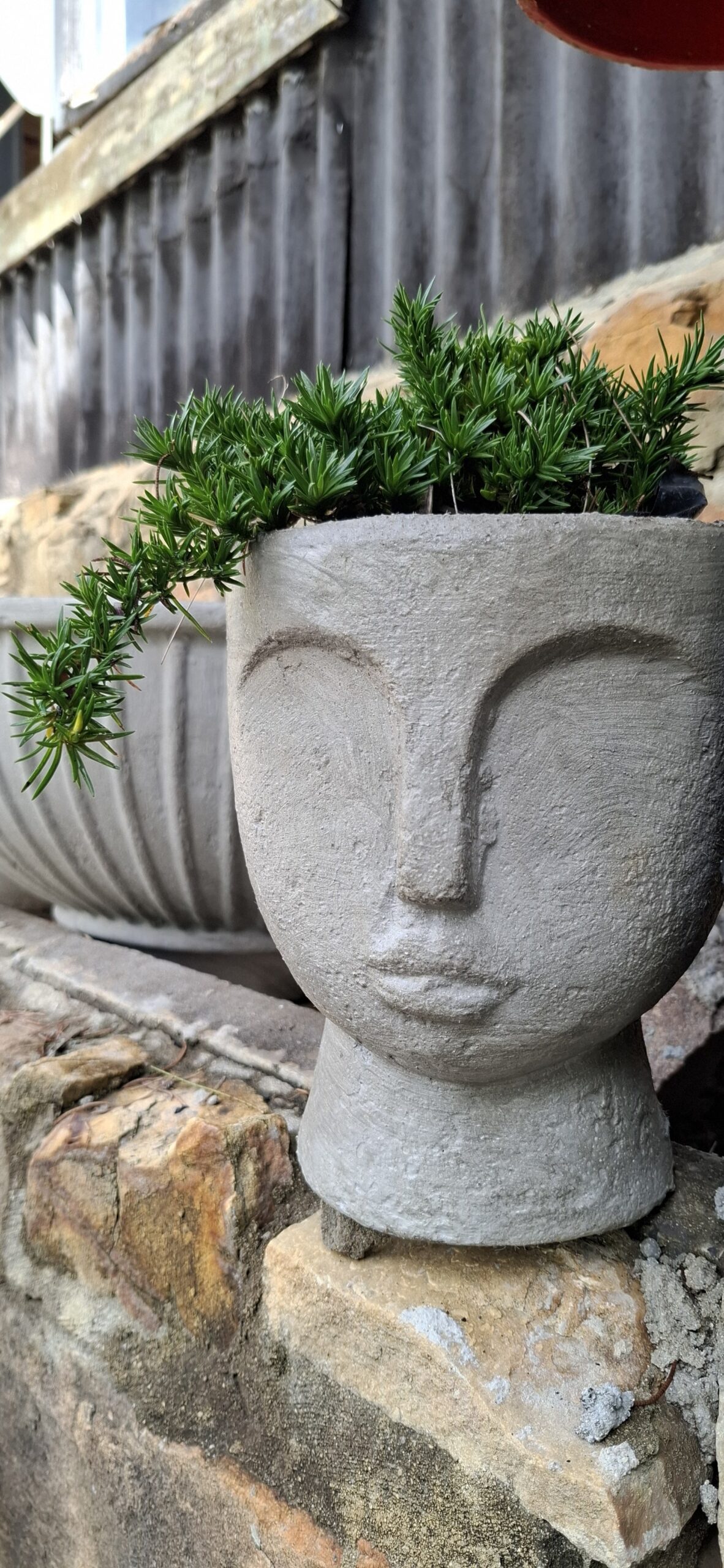 The 'Stillness' Collection Face Planters - Image 5