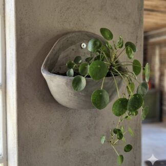Studio Wall Planter