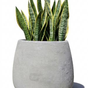 1000524123.png Studio Atlas Planter