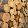 1000531607-1.jpg Firewood Stump Logs 200pc