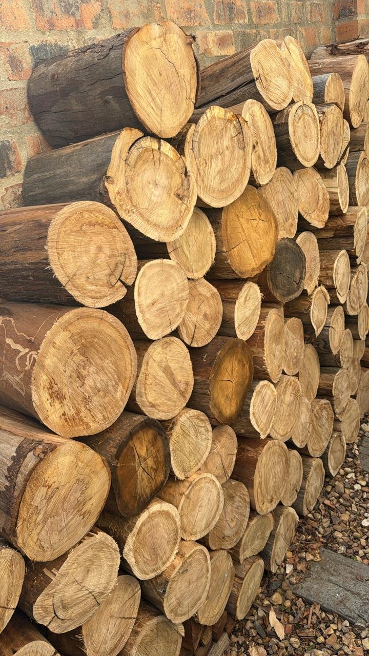 Large Stump Firewood Logs 100pc